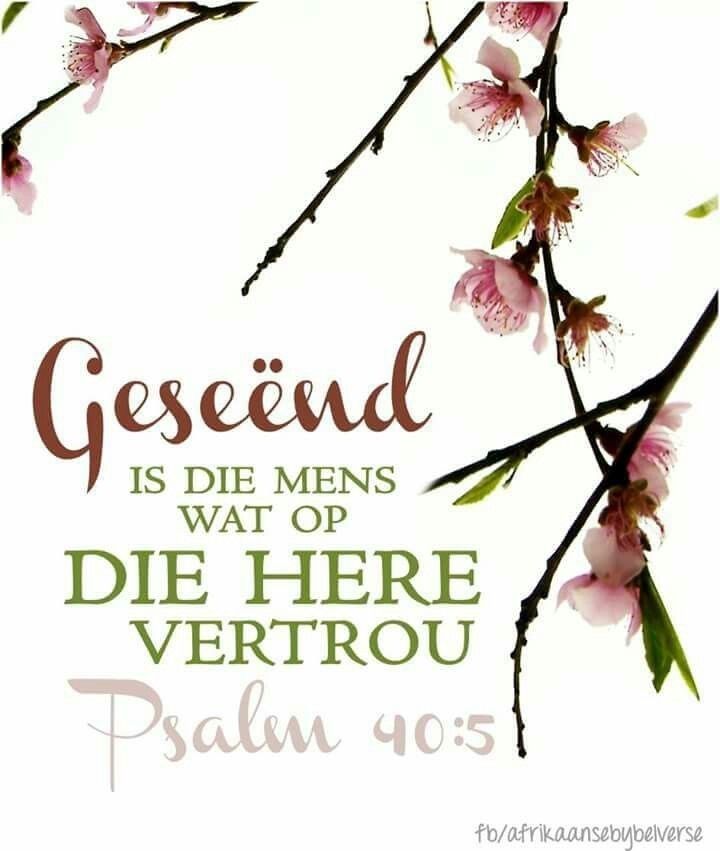 𝐷𝑜𝑡 🇿🇦 tweet media