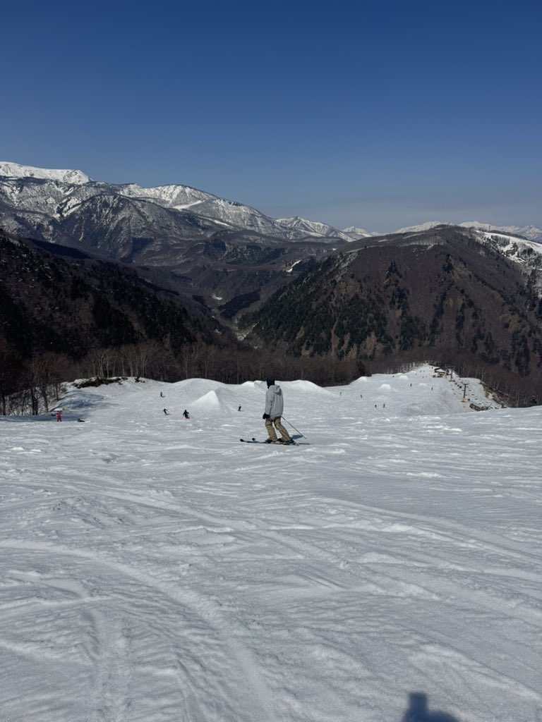 Rinta Arai︎︎ ︎ tweet media