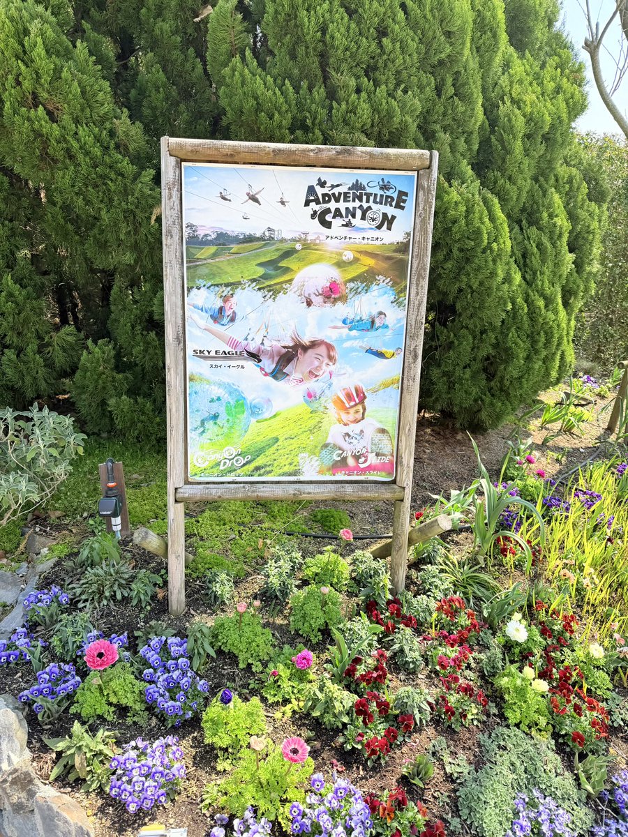 ㄜゅ໒꒱ tweet media