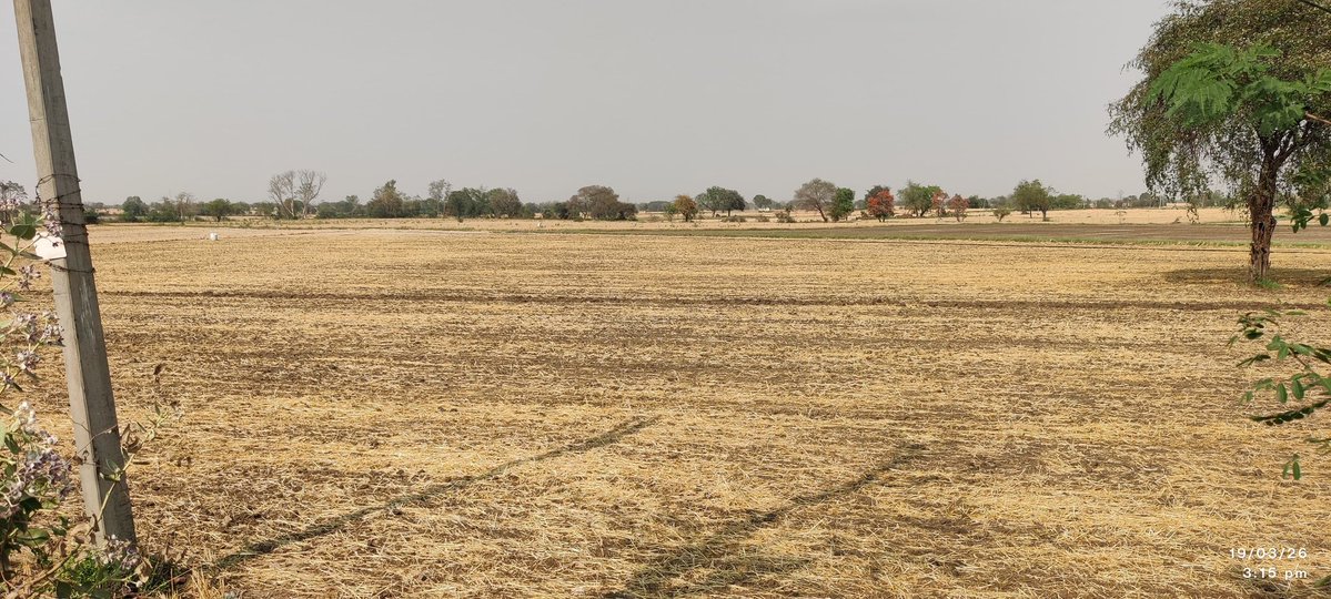 नरवाई न जलाकर उसका उचित प्रबंधन करना ही है सबसे बेहतर विकल्प

नरवाई जलाने की परंपरा छोड़, वैज्ञानिक तरीके से खेती करना अपनाए किसान
#narmadapuram <a href="/CMMadhyaPradesh/">Chief Minister, MP</a> <a href="/DrMohanYadav51/">Dr Mohan Yadav</a> <a href="/JansamparkMP/">Jansampark MP</a>
<a href="/minmpkrishi/">Agriculture Department, MP</a>