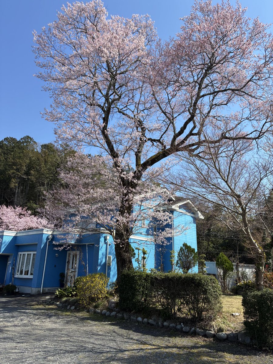 kenji480201's tweet photo. 愛知県犬山市入鹿池へソロツーリング🏍️ https://t.co/UPsBzxgevJ
