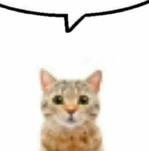 джиґа дринкожила tweet media