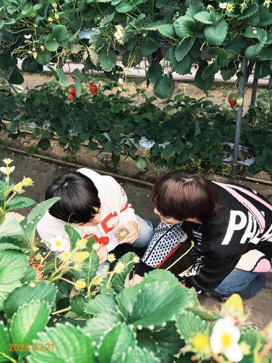 เดินตามหา  นึกว่าหายไปไหน 
#teeteepor
#DMDChillDayInJapan