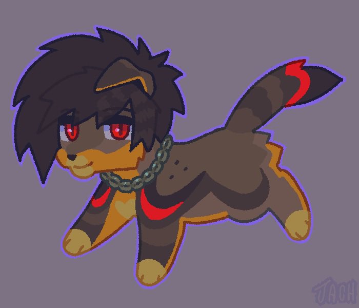 jach 👽 tweet media