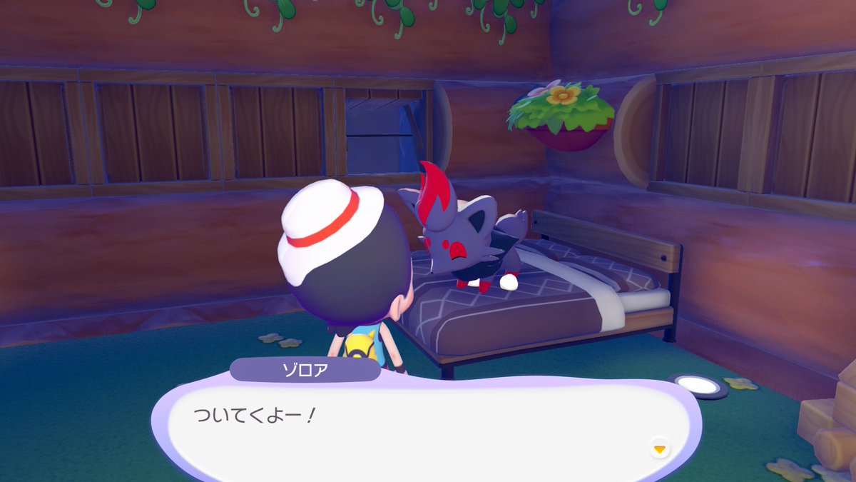 れぇぐ🐺 tweet media