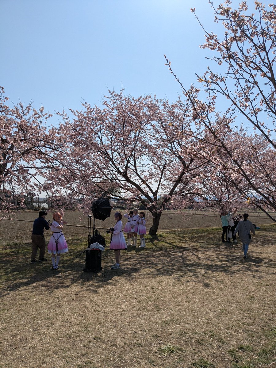 紺野 tweet media