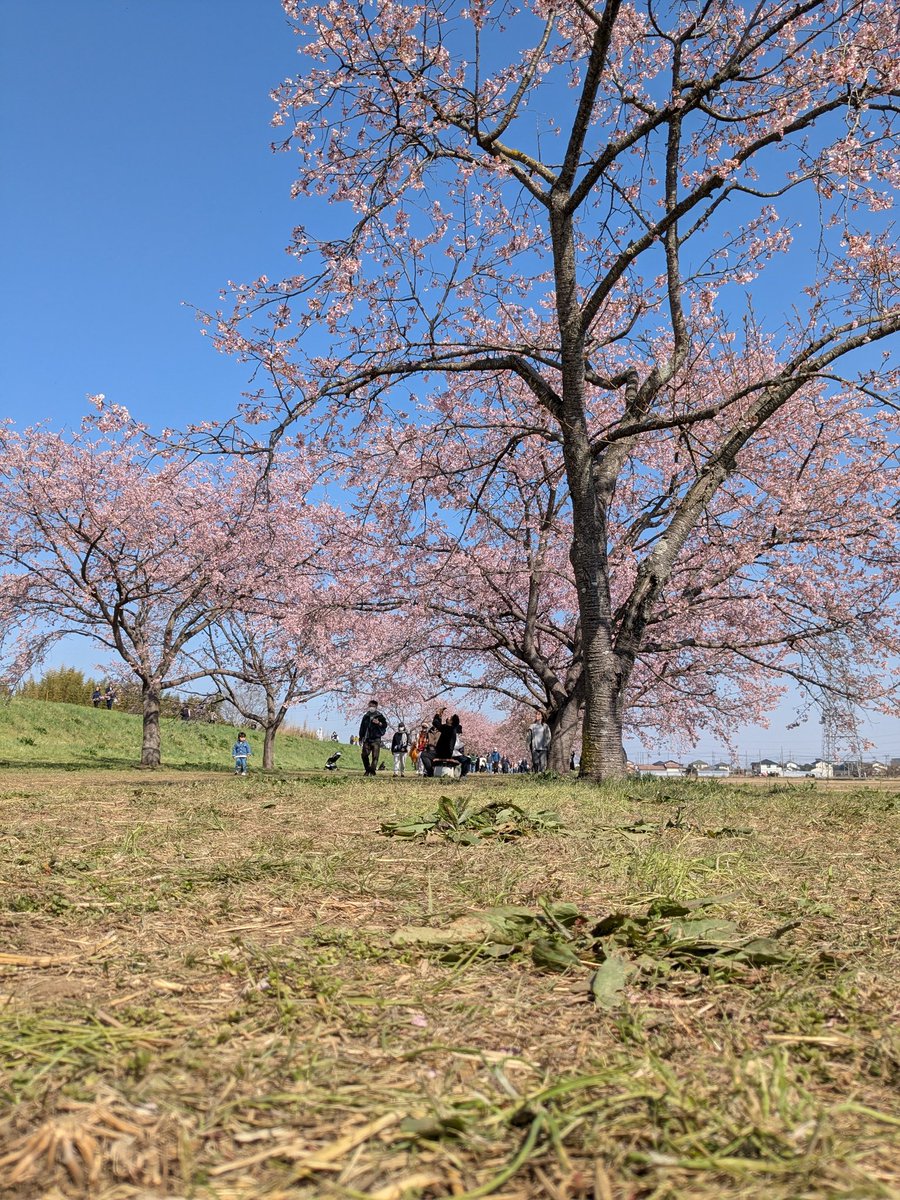 紺野 tweet media