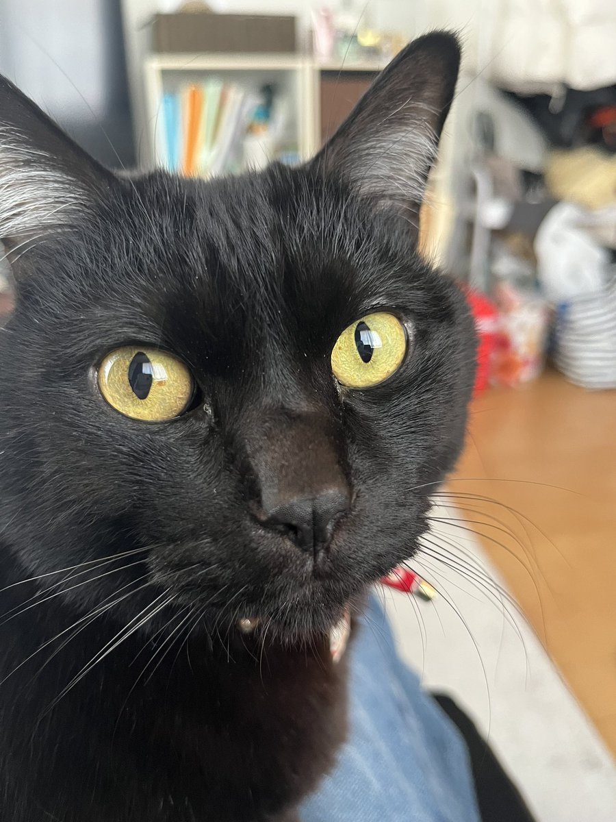 小さい人 tweet media