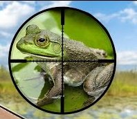 Matthew Williams tweet media