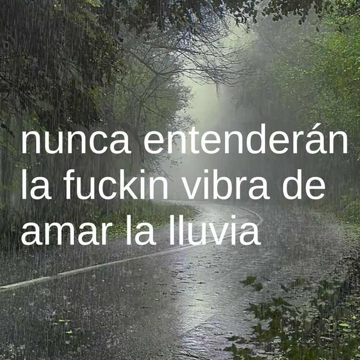 car07bon's tweet photo. Definitivamente https://t.co/xmzz0bJaob