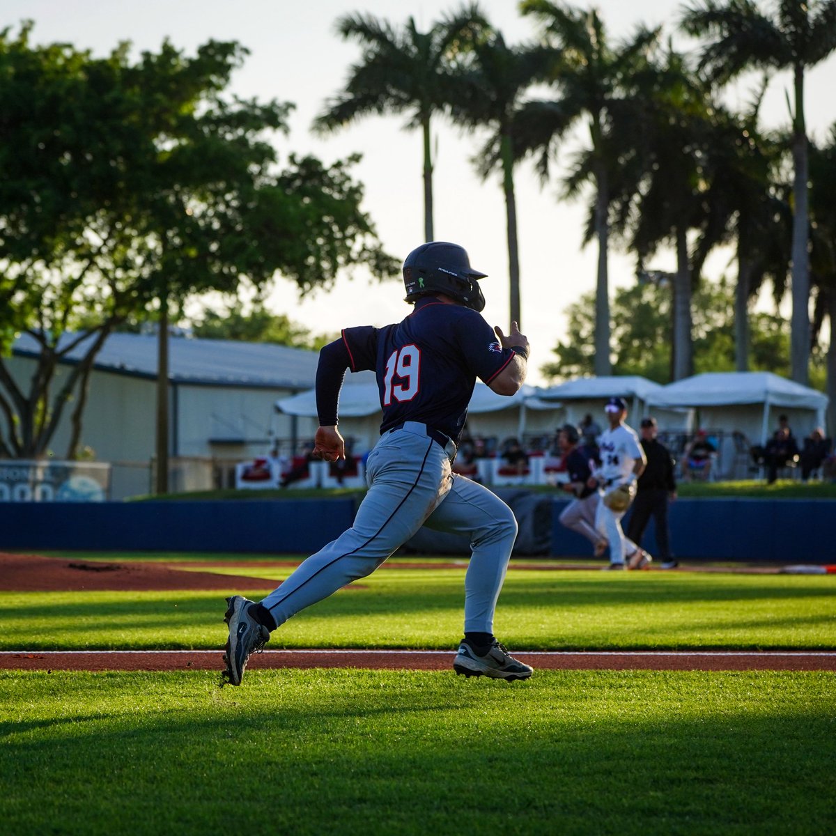 UTSA Baseball ⚾️ tweet media