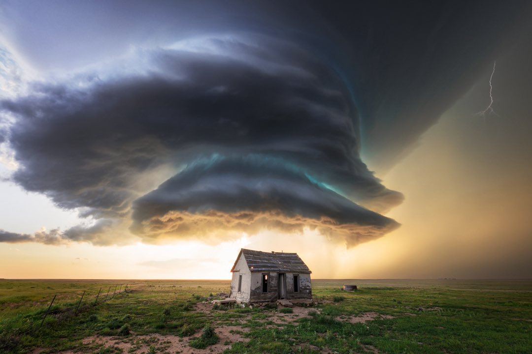 Tim Baca tweet media