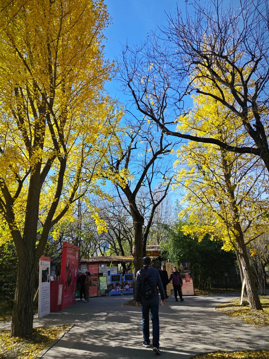 lucylaxamana tweet media