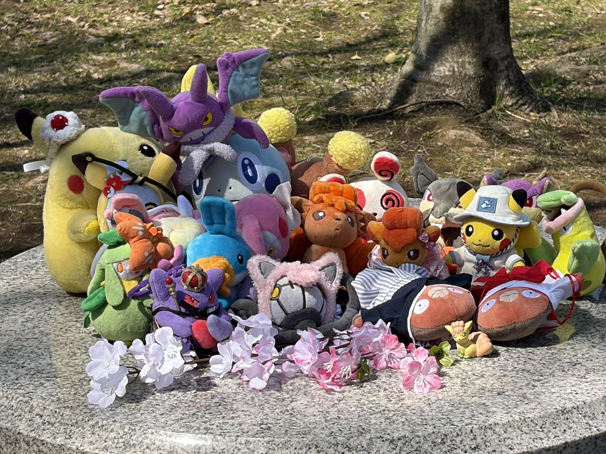 ミスターピエロ🤡 tweet media