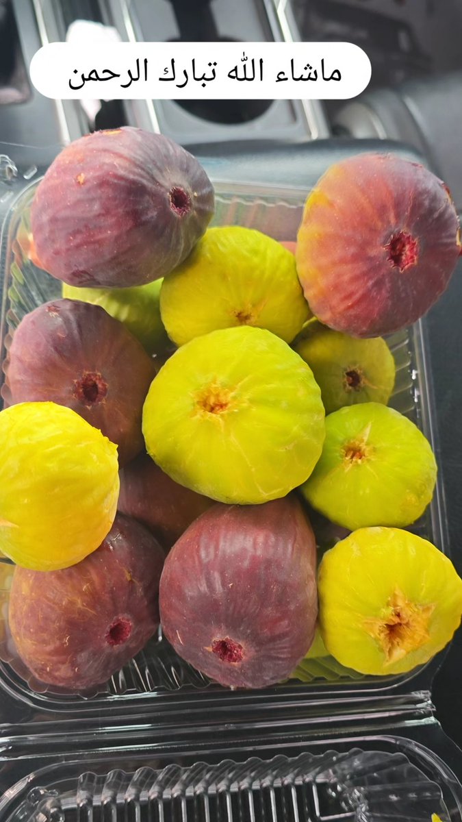 محصول اليوم من التين من المزرعه

مشاءالله تبارك الرحمن 
#الامارات