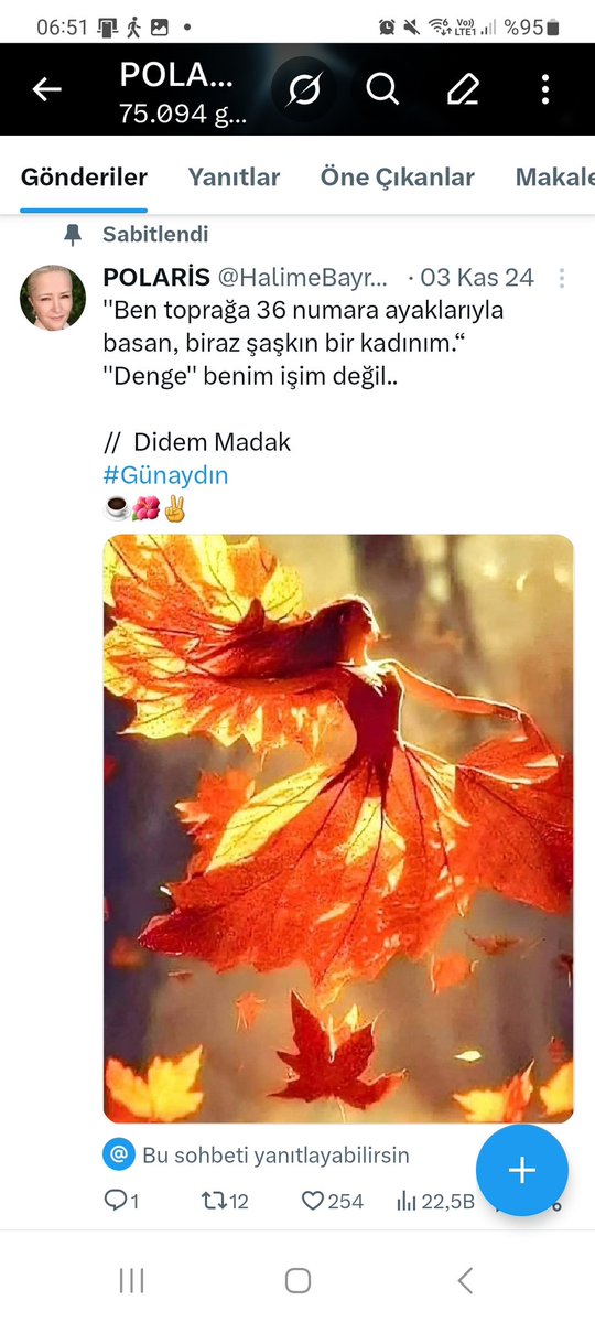 POLARİS tweet media