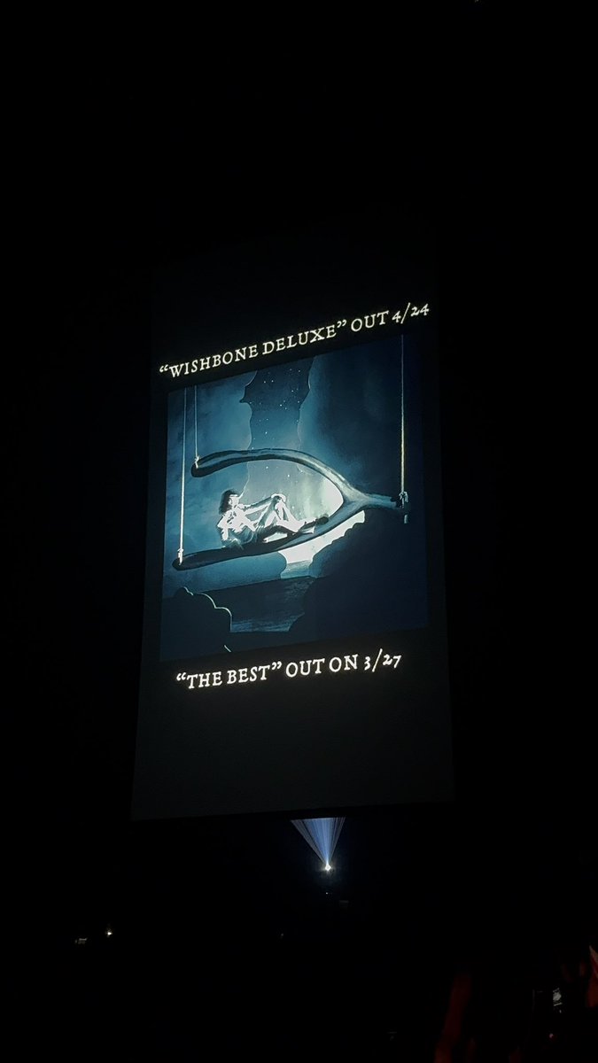 meg ⚓︎ WISHBONE tweet media