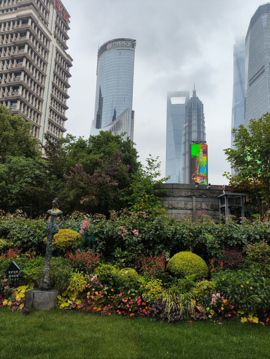 Donna Durmazlar tweet media