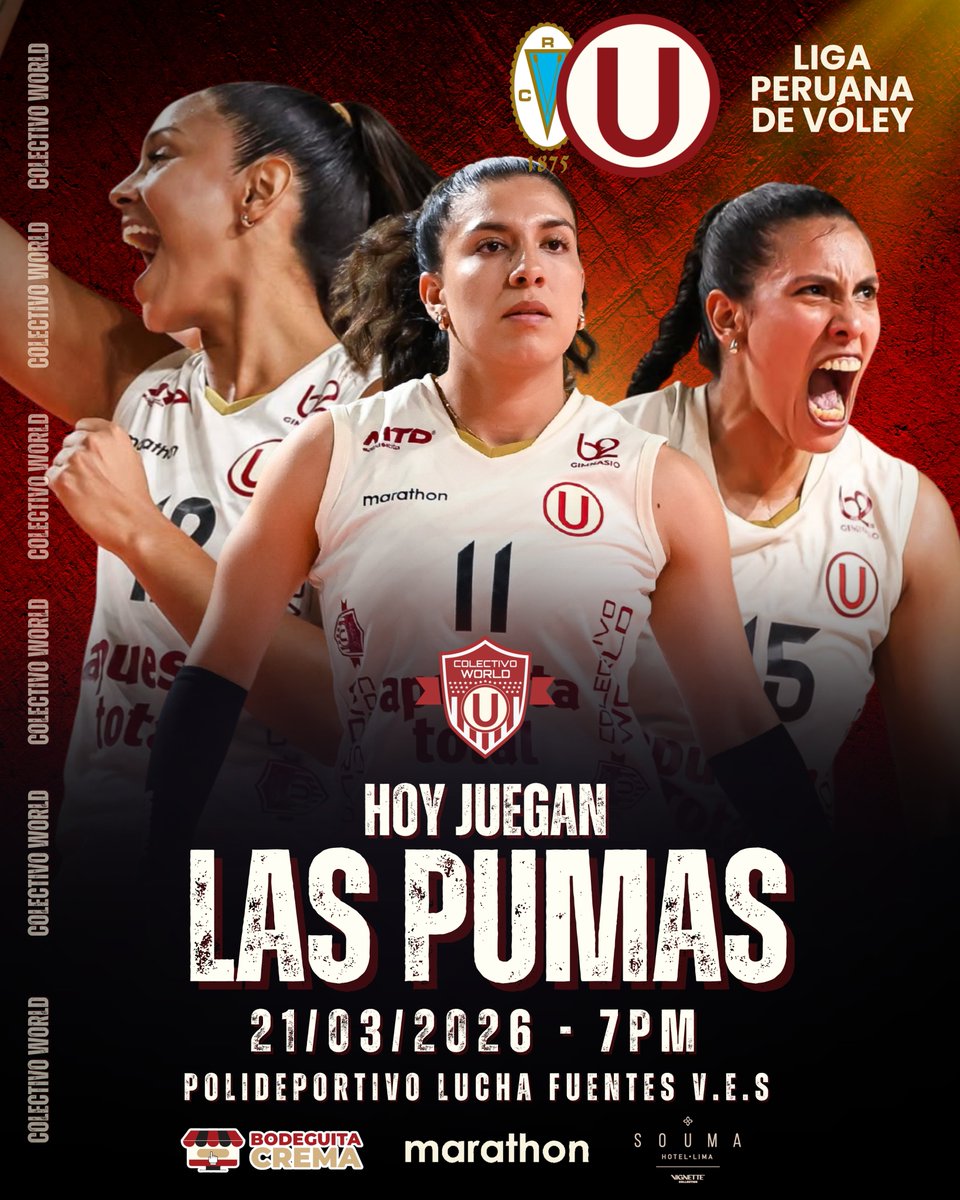 Colectivo WORLD tweet media