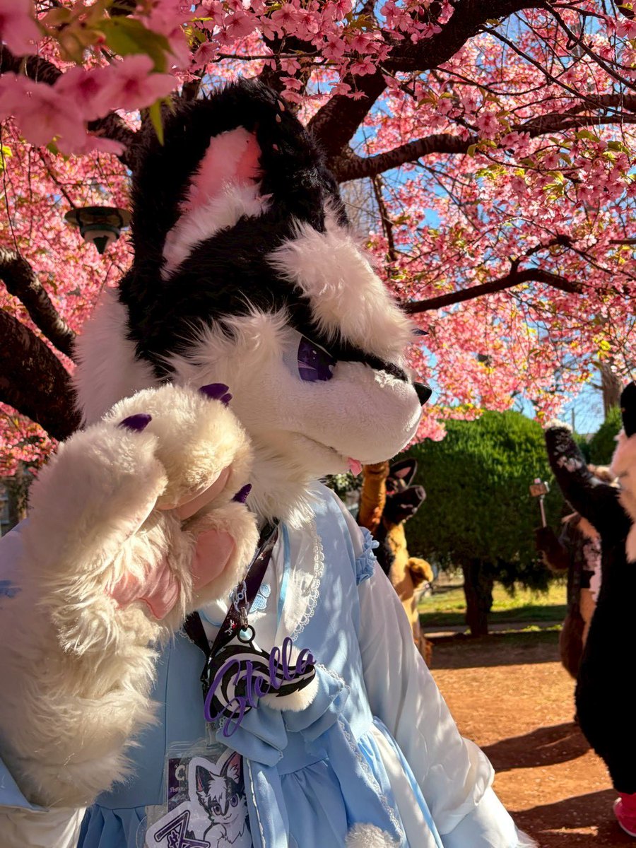 Clil🌙🐱🎧 アバター・衣装作成依頼募集中 tweet media