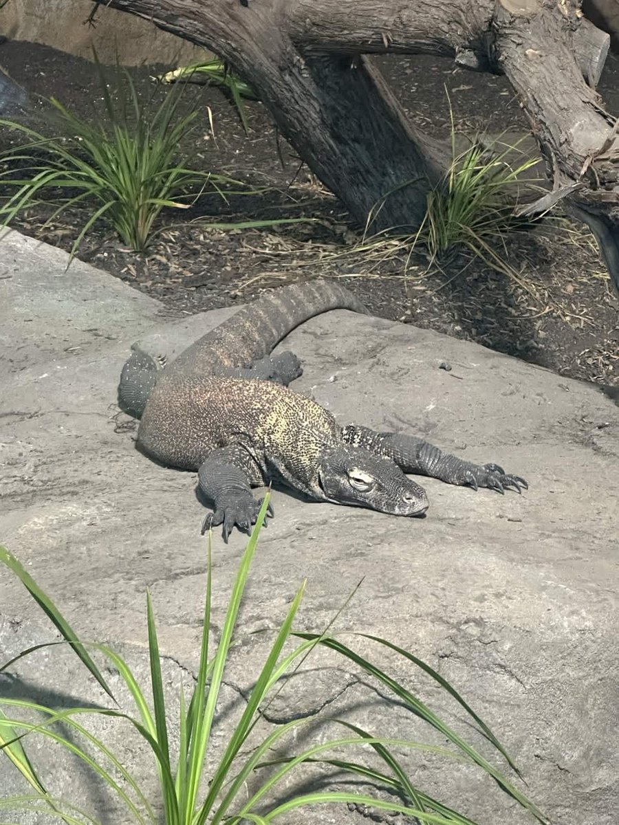 note/prince blackout tweet media