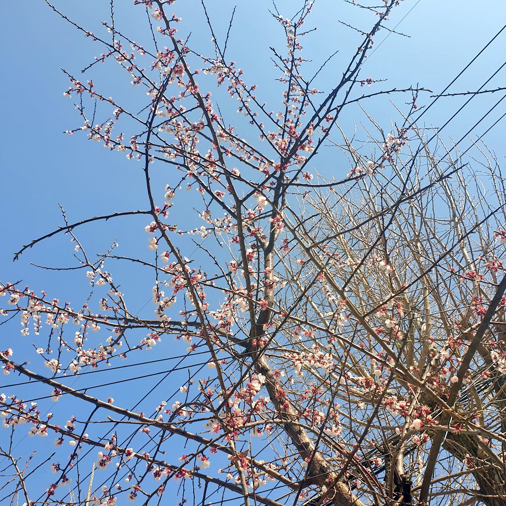 Reframe@lostark tweet media