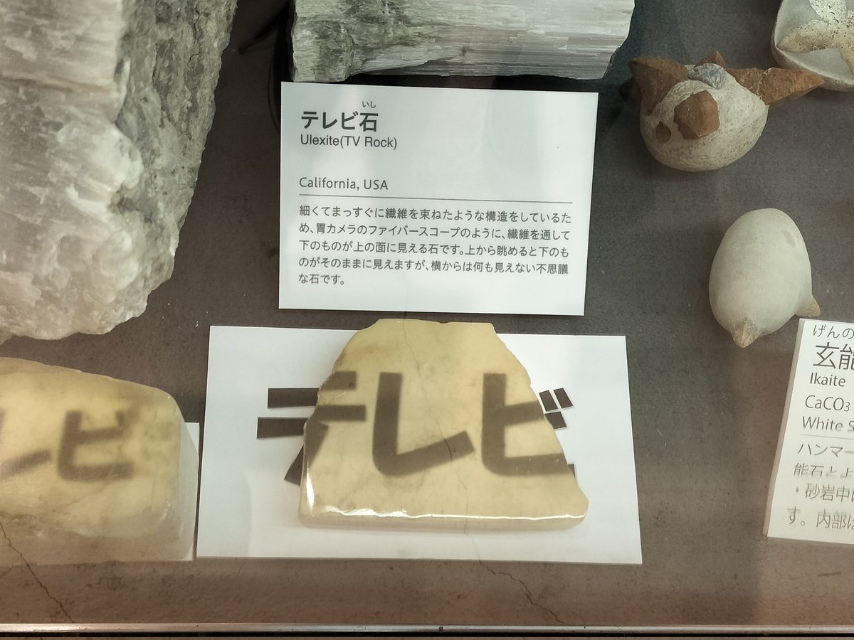 ひらたい tweet media