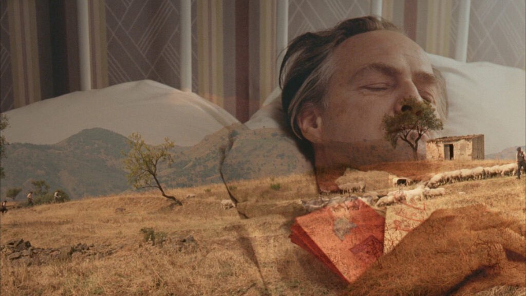 Mandevil tweet media