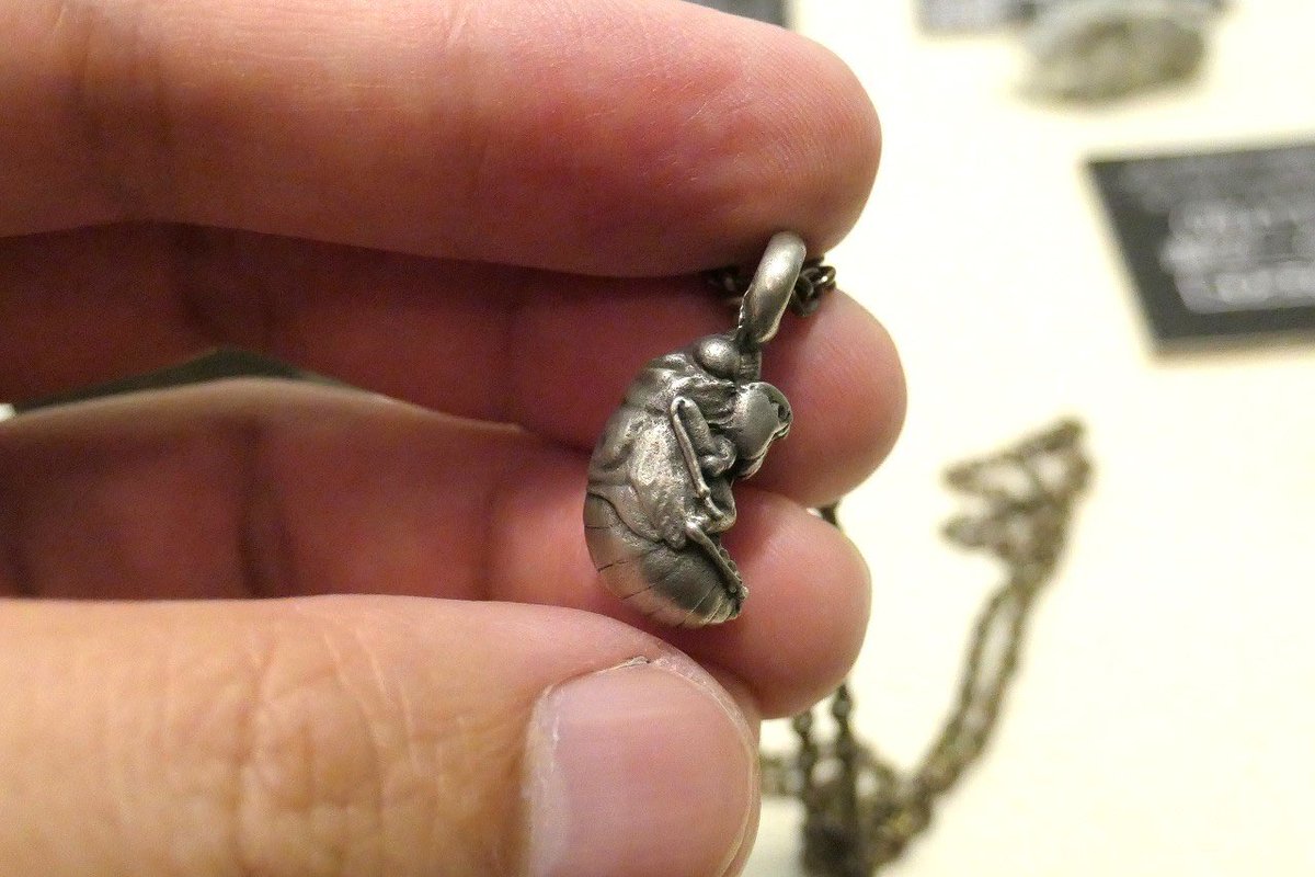 planevia tweet media