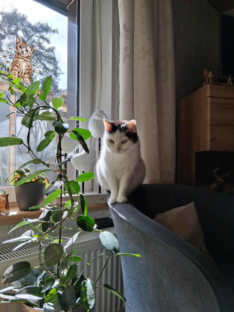 Ah - okaaay.. tweet media