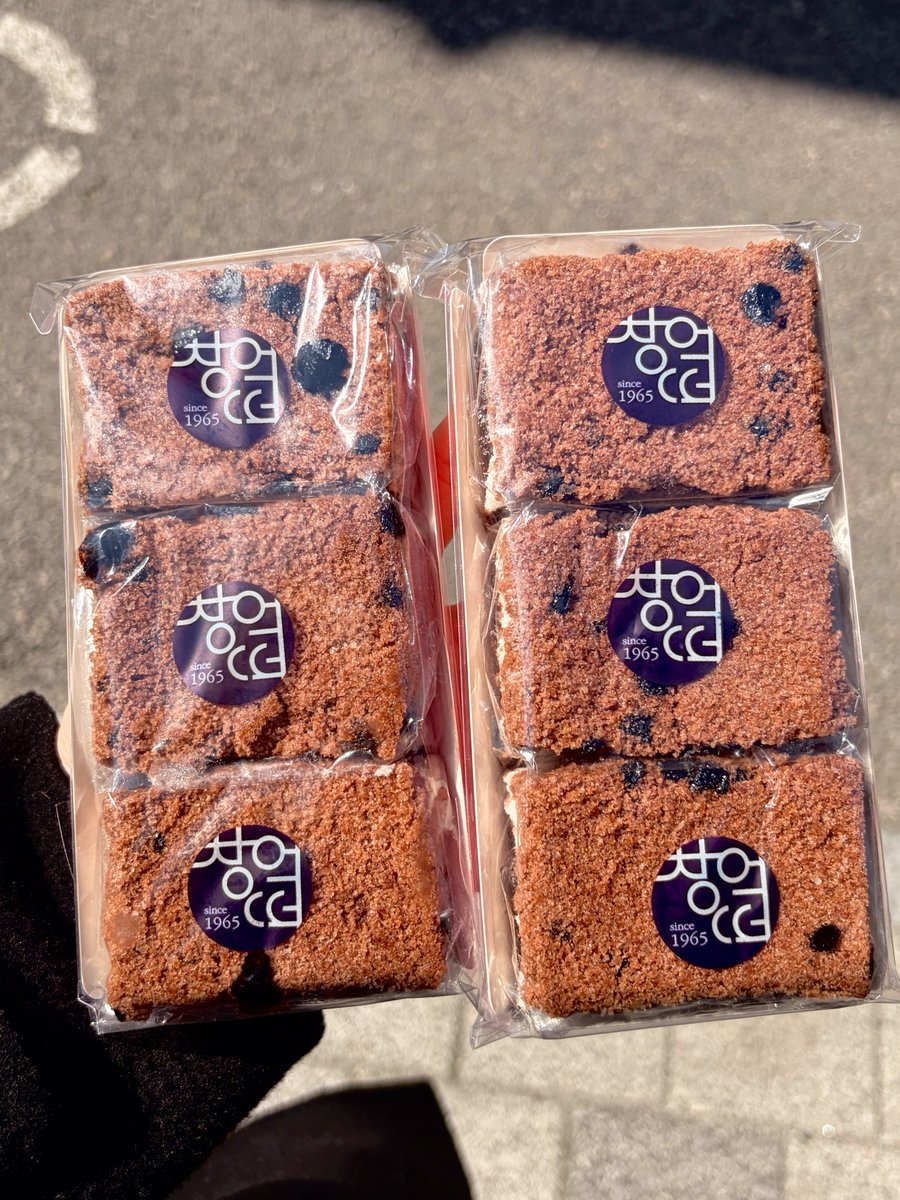 약대생의 밥 tweet media