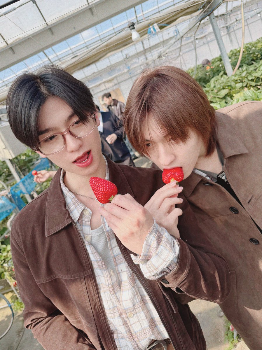 GoodMemoriesDMD tweet media