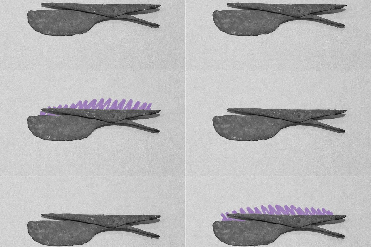 Witzshared - The Blog tweet media