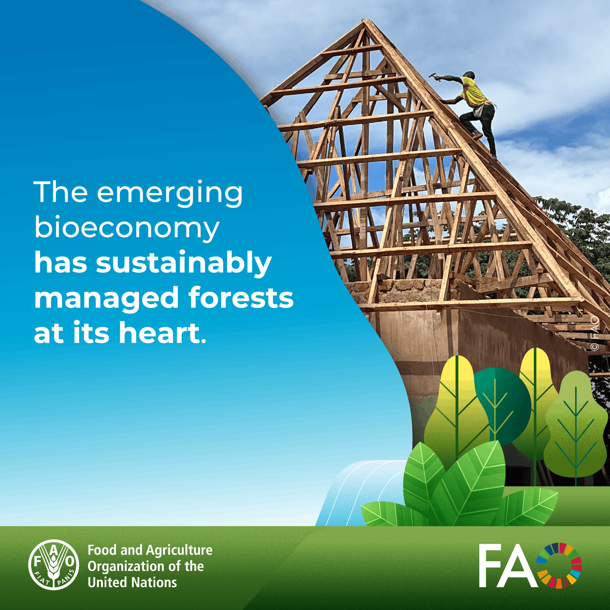 FAO Forestry tweet media