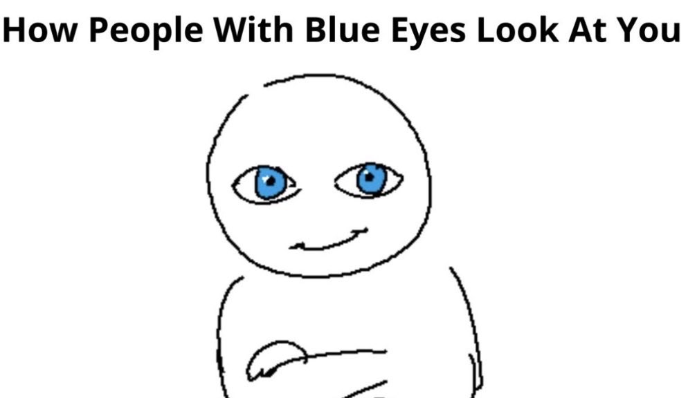 𝐛𝐮𝐧 🐾 tweet media