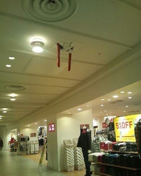 Evangelion Perfect Shots tweet media