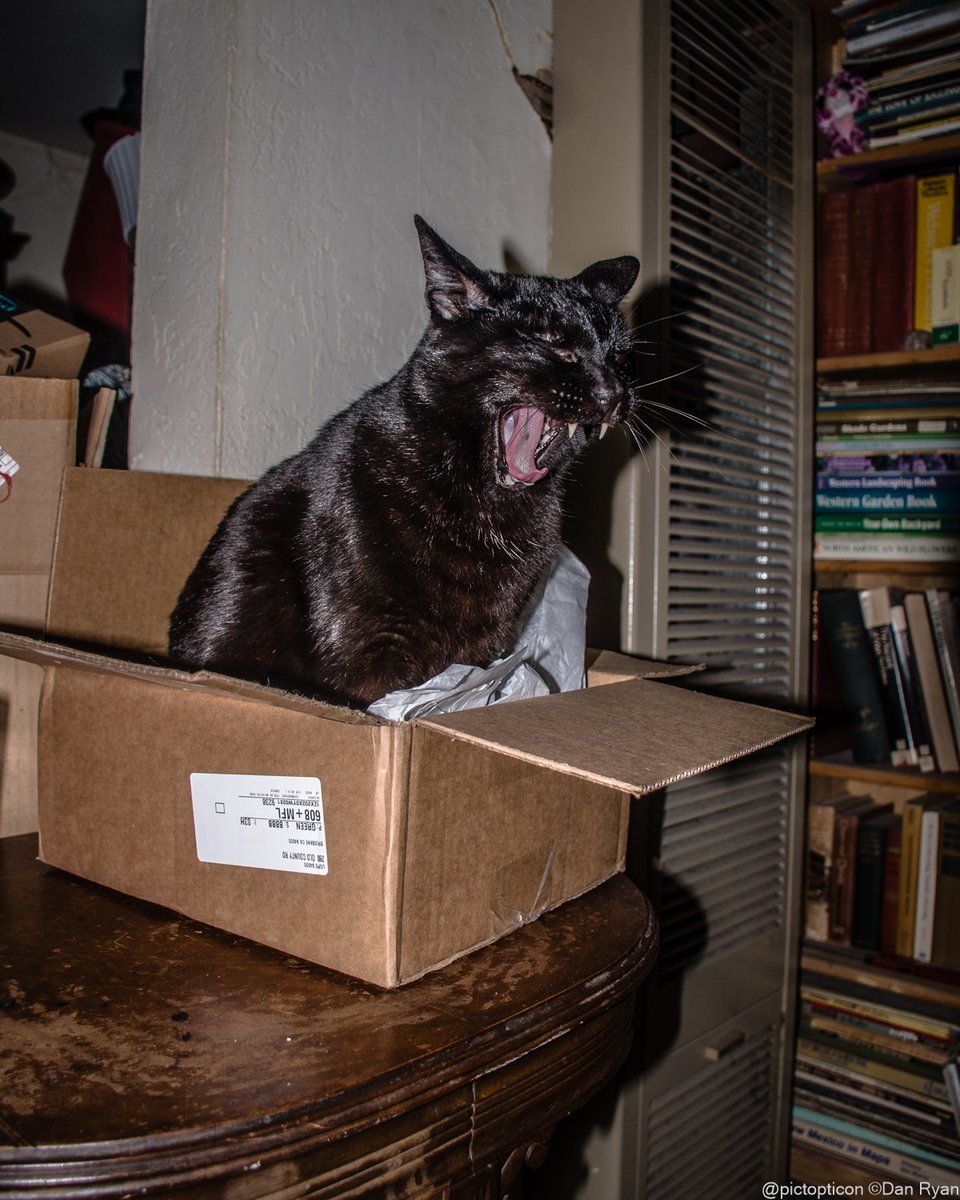 Dan Ryan 📷 tweet media