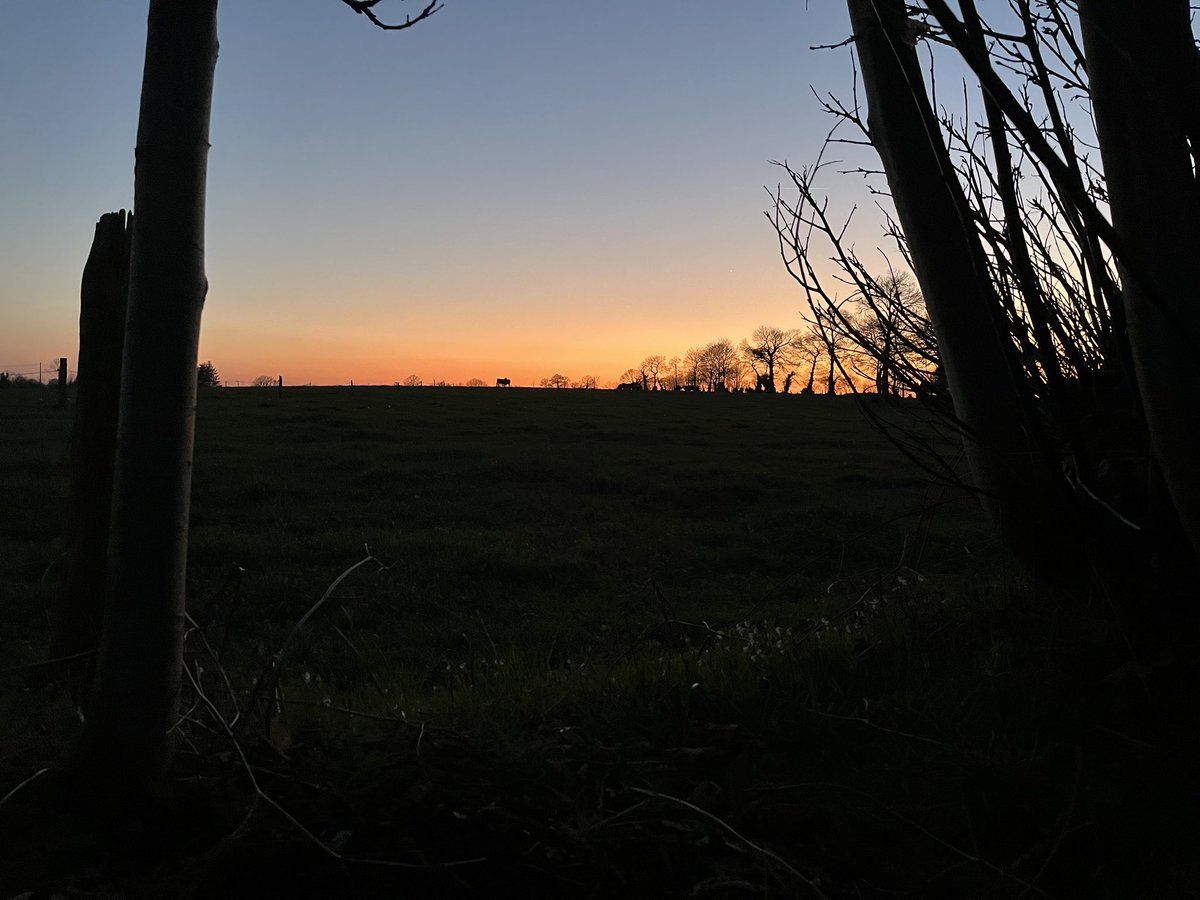 Colin Solomon tweet media