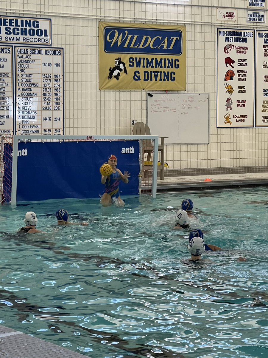 Wheeling Wildcats Athletics and Activities tweet media