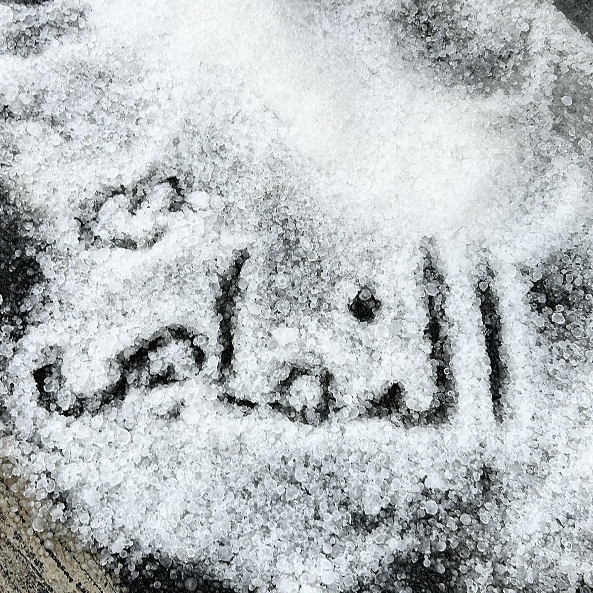 L alshehri tweet media