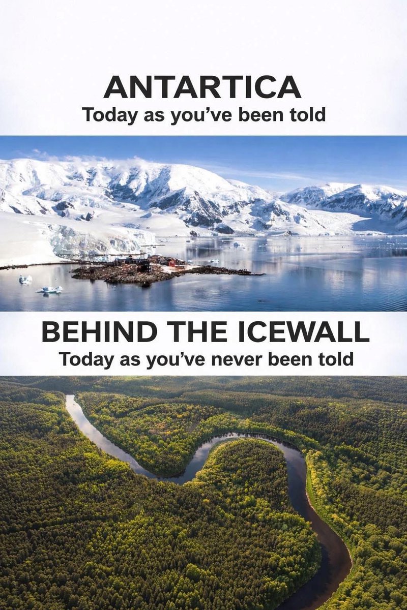 🧬Maxpein🧬 tweet media