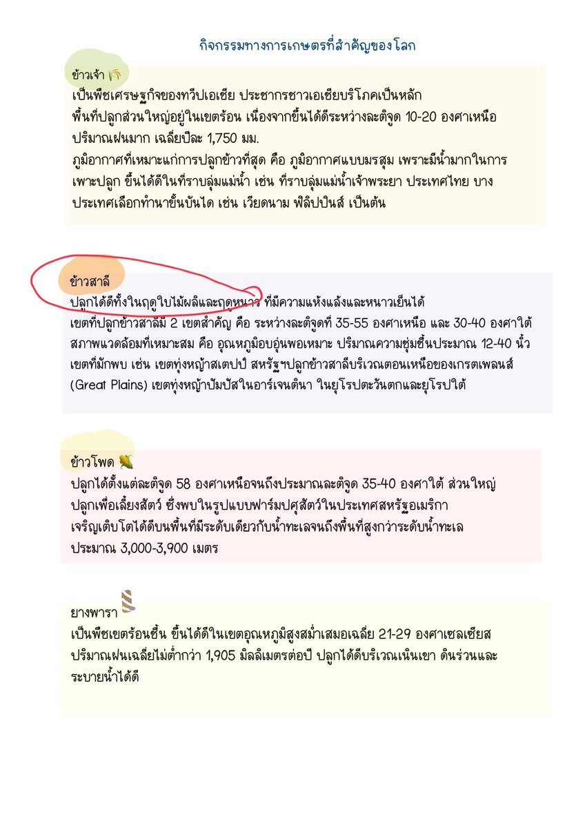 ชีทสรุปปลาวาฬ TCAS🐳 tweet media