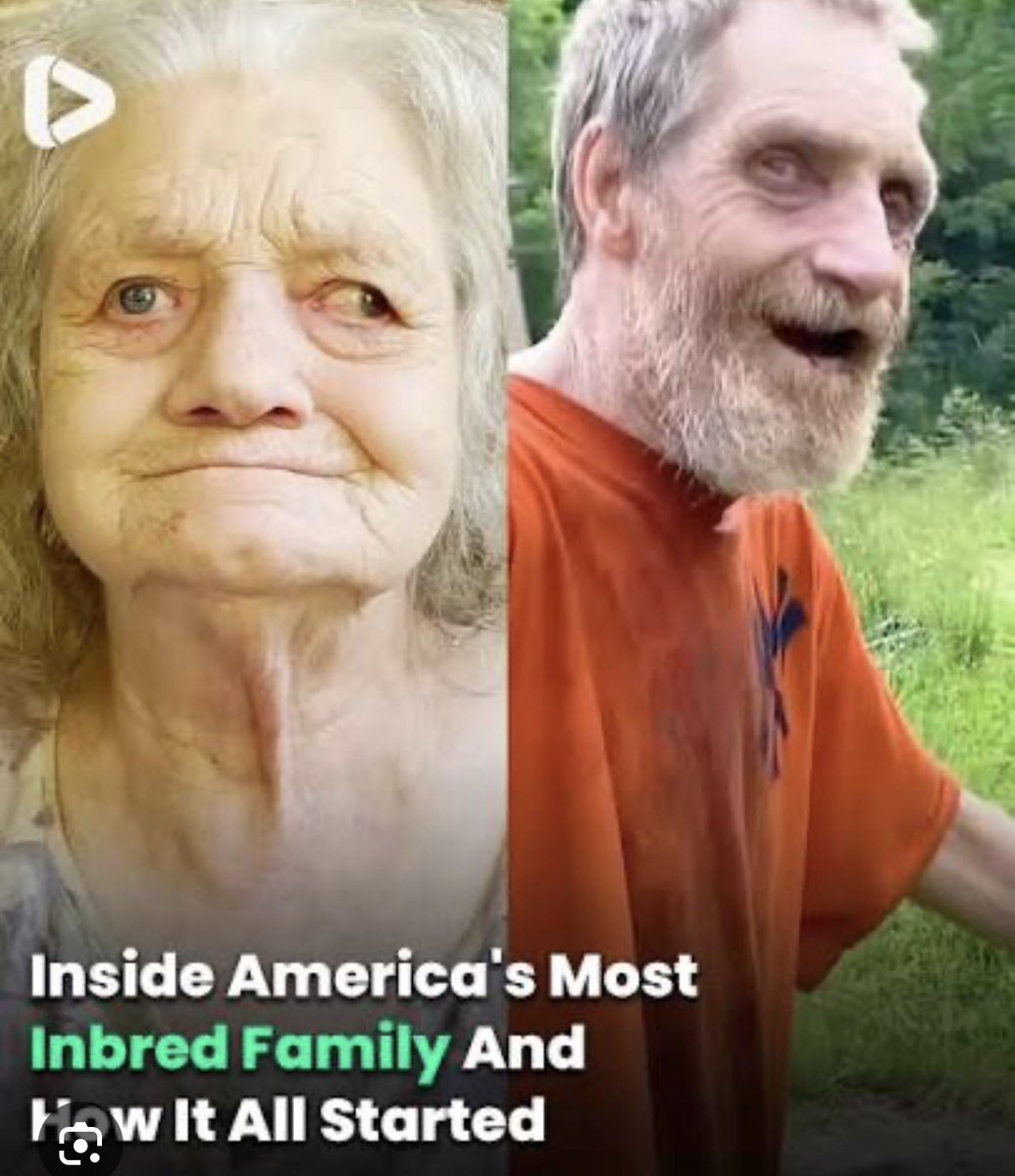 Sean Clark tweet media