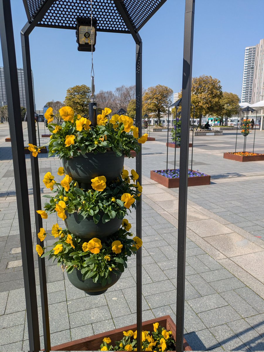 kakeruko tweet media