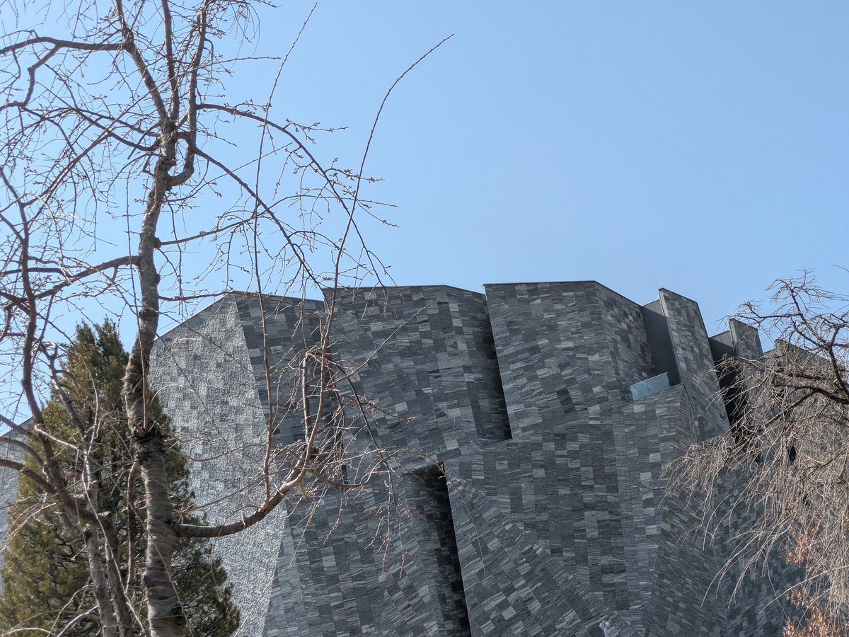 斎堂琴湖『桜葬』発売中 tweet media