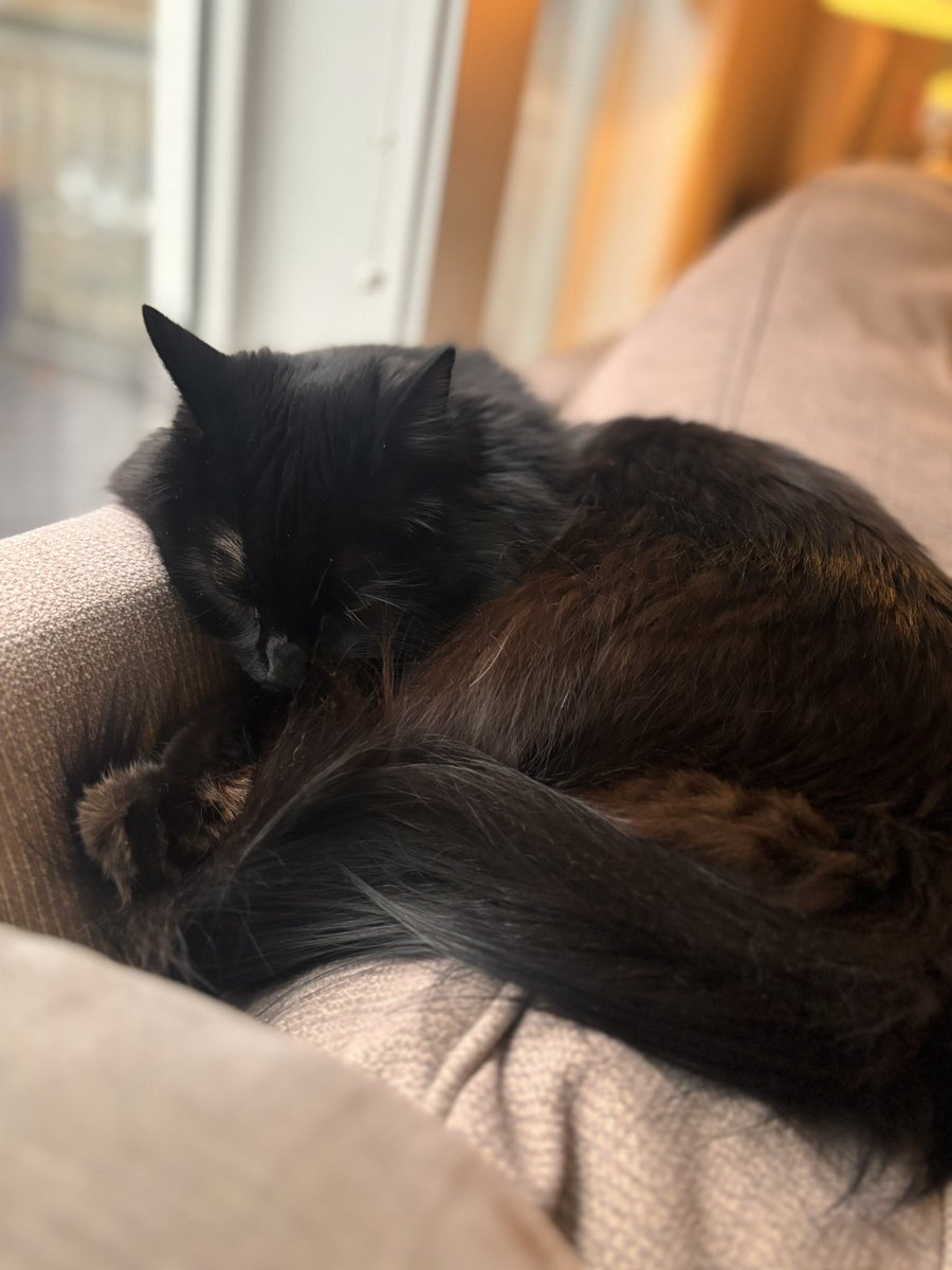 Redlovesbubbles tweet media