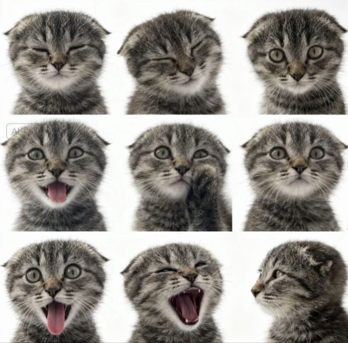 ѕєиɪ tweet media