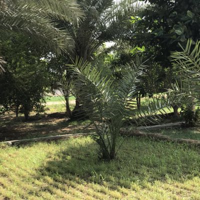 MHYSaif's tweet photo. #NewProfilePic https://t.co/aXvgFk49Fp