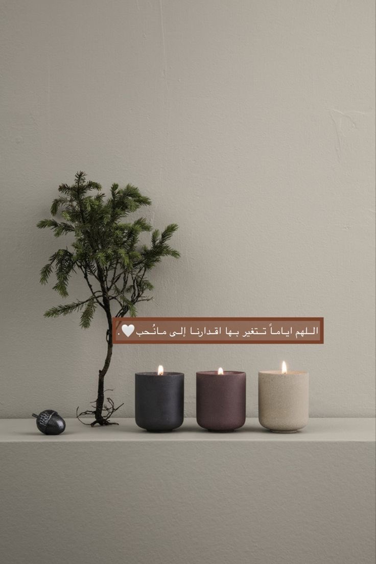 سماح الحربي tweet media