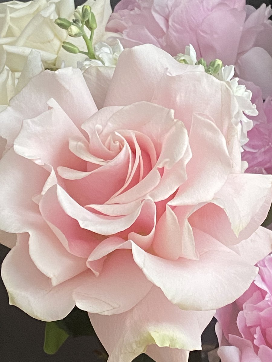 Оль_га tweet media